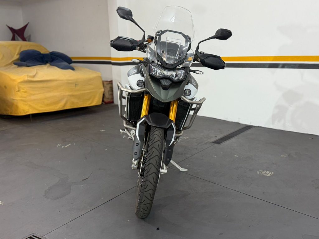 TIGER 900 RALLY PRO